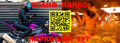 стаф Заволжье