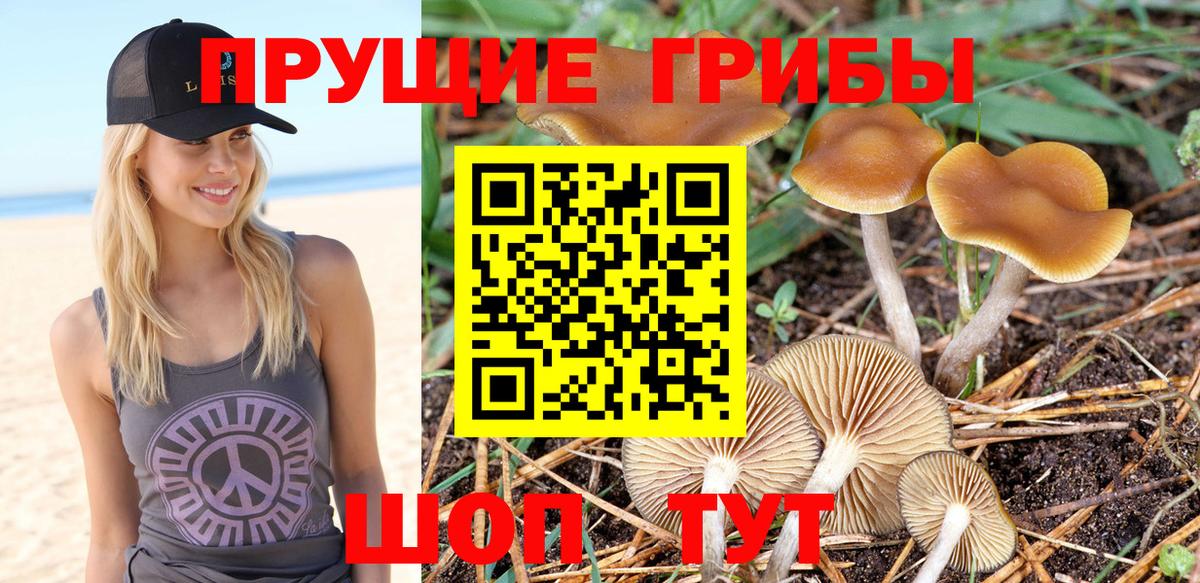 Псилоцибиновые грибы ЛСД Люберцы