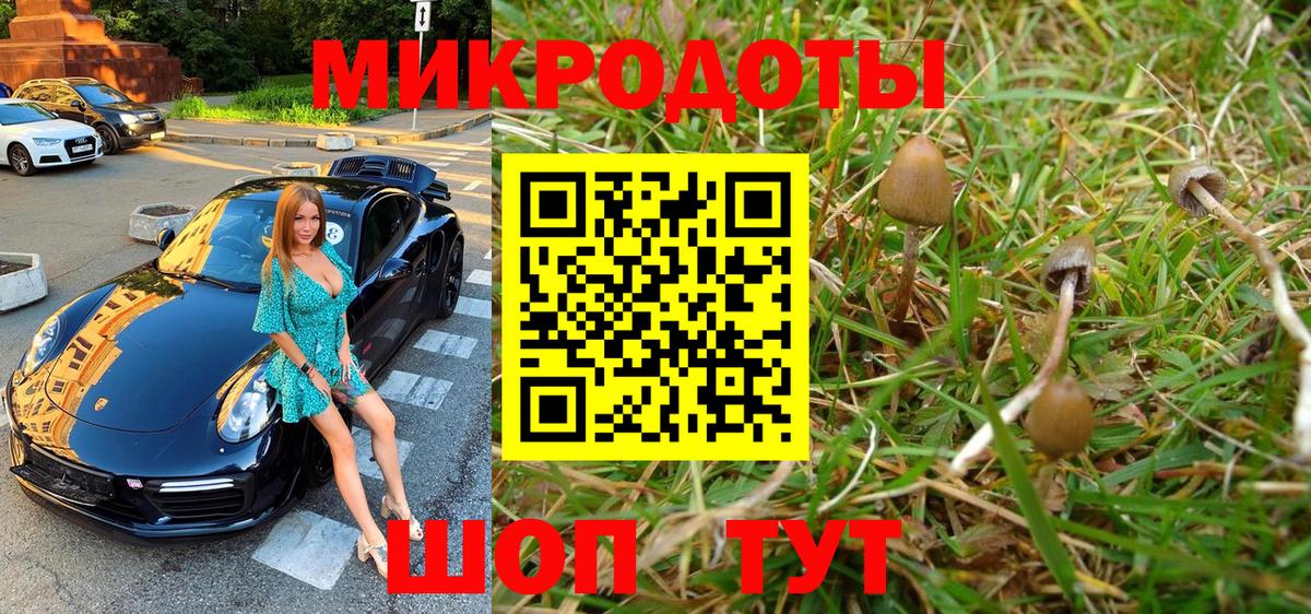 Люберцы  цена наркотик  Вход с VPN  Галлюциногенные грибы Psilocybine cubensis  Галлюциногенные грибы прущие грибы 